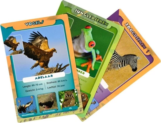 Merkloos Spellenbundel - Kwartet - 3 Stuks - Wildlife Kwartet & Menselijk Lichaam Kwartet & Sport Weetjes Kwartet - Afbeelding 5