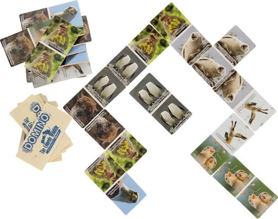 Houten Domino | The Comedy Wildlife | 28 Stukjes - Afbeelding 2