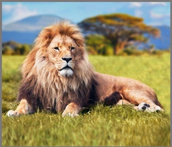 Brainstorm Toys Zaklampprojector Most Deadly - Gevaarlijke Dieren - Afbeelding 2