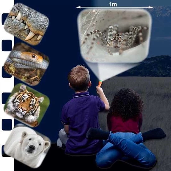 Brainstorm Toys Zaklampprojector Most Deadly - Gevaarlijke Dieren - Afbeelding 5